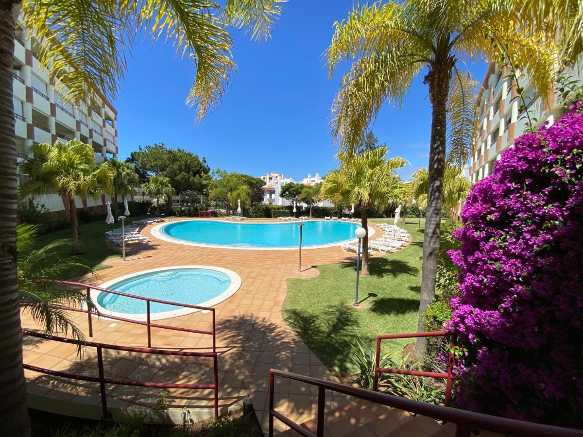 Avelas Ocean View Apartment